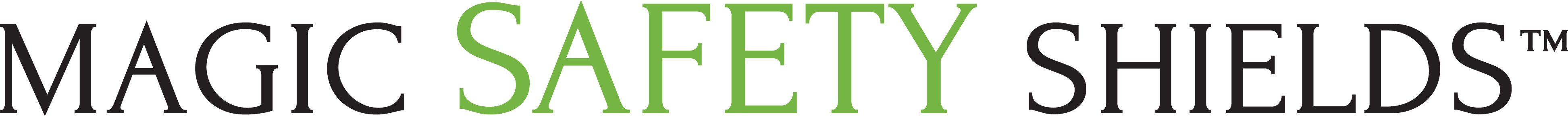 MAGIC SAFETY LOGO